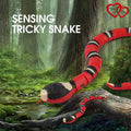 NanaSpoilsMe™ Smart Sensing Snake Tease Toy